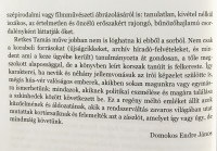 Retkes Tam&aacute;s: A felemelt z&aacute;szl&oacute; (reg&eacute;ny)